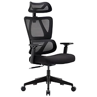 Chaise de bureau ergonomique haut de gamme en filet à dossier haut de TygerClaw - Noir