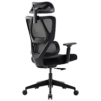 Chaise de bureau ergonomique haut de gamme en filet à dossier haut de TygerClaw - Noir