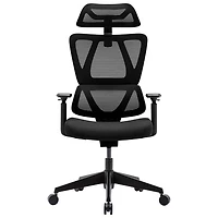 Chaise de bureau ergonomique haut de gamme en filet à dossier haut de TygerClaw - Noir