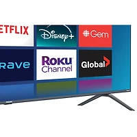Téléviseur intelligent Roku DEL HDR UHD 4K de 55 po Séries PUL5924 Entertainment Plus de Philips (55PUL5924/F6)