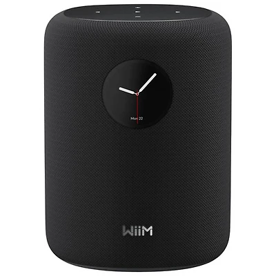 WiiM Sound Bluetooth Wireless Smart Speaker - Black