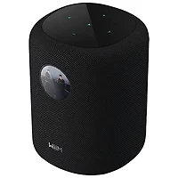 WiiM Sound Bluetooth Wireless Smart Speaker - Black