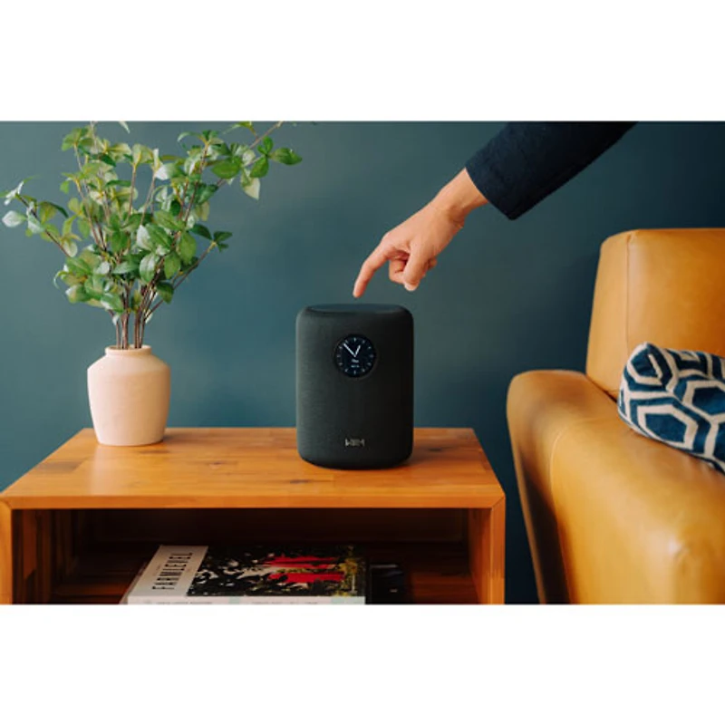 WiiM Sound Bluetooth Wireless Smart Speaker - Black