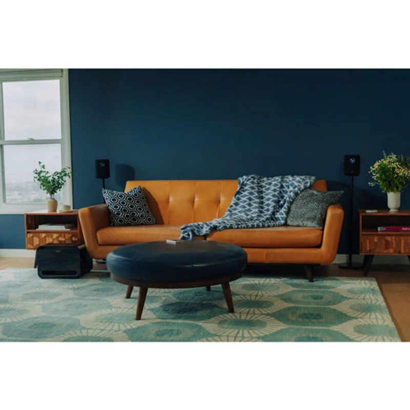 WiiM Sound Bluetooth Wireless Smart Speaker - Black