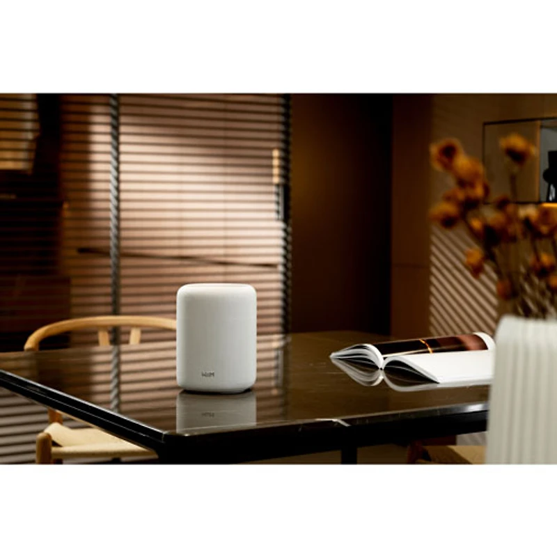 Haut-parleur intelligent sans fil Bluetooth WiiM Sound Lite - Blanc