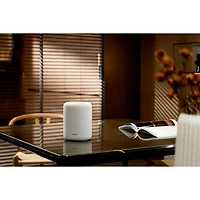 Haut-parleur intelligent sans fil Bluetooth WiiM Sound Lite - Blanc