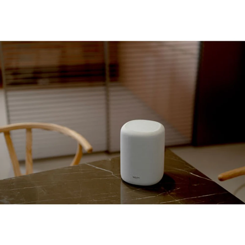 Haut-parleur intelligent sans fil Bluetooth WiiM Sound Lite - Blanc