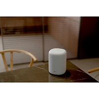 Haut-parleur intelligent sans fil Bluetooth WiiM Sound Lite - Blanc