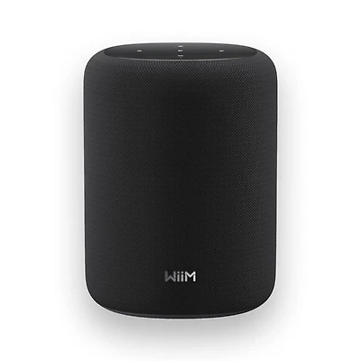 WiiM Sound Lite Bluetooth Wireless Smart Speaker - Black