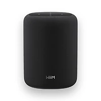 WiiM Sound Lite Bluetooth Wireless Smart Speaker - Black