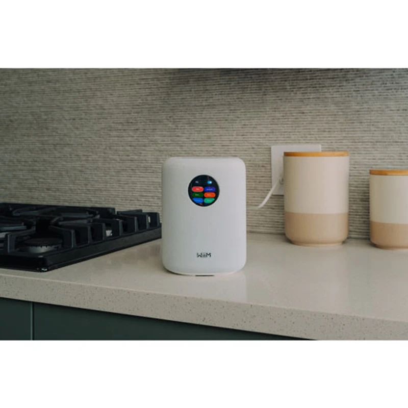 Haut-parleur intelligent sans fil Bluetooth WiiM Sound - Blanc