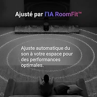 Haut-parleur intelligent sans fil Bluetooth WiiM Sound - Blanc
