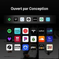 Haut-parleur intelligent sans fil Bluetooth WiiM Sound - Blanc
