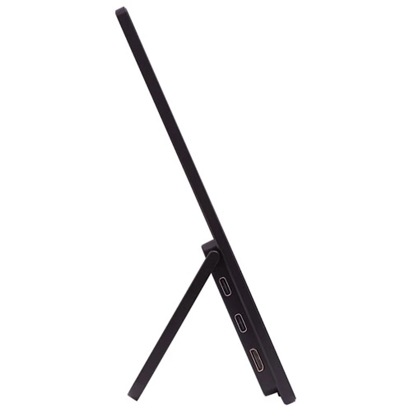 Moniteur portatif DEL IPS HD intégrale GàG 6 ms 60 Hz de 15,6 po d'Acer (PM161Q JBMIUUX) - Noir