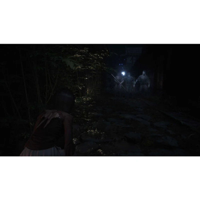 Fatal Frame II: Crimson Butterfly Remake (Switch 2)