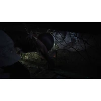 Fatal Frame II: Crimson Butterfly Remake (Switch 2)