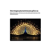 Téléviseur intelligent webOS DELO HDR UHD 4K de 48 po C6 de LG (OLED48C6PUA.ACC) - 2026