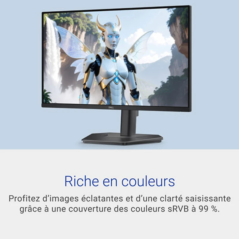 Dell 24" FHD 240Hz 3ms GTG IPS LCD FreeSync Gaming Monitor (SE2426HGS) - Black