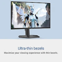 Dell 24" FHD 240Hz 3ms GTG IPS LCD FreeSync Gaming Monitor (SE2426HGS) - Black