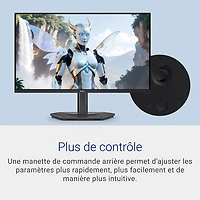 Dell 24" FHD 240Hz 3ms GTG IPS LCD FreeSync Gaming Monitor (SE2426HGS) - Black