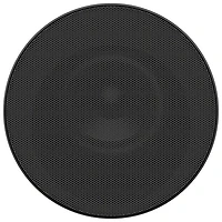 Sony BRAVIA Theatre Rear 9 180-Watt Rear Speaker - Pair - Black
