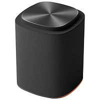 LG Sound Suite M5 50-Watt Wireless Multi-Room Speaker - Single - Black