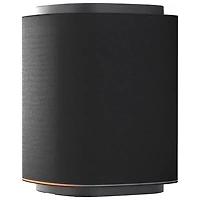 LG Sound Suite M5 50-Watt Wireless Multi-Room Speaker - Single - Black