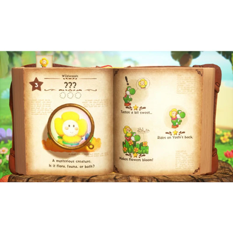 Yoshi and the Mysterious Book (Switch 2)