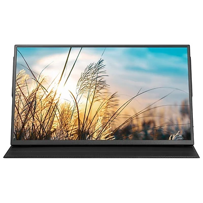 Insignia 15.6" 1080p HD IPS LED Portable Monitor (NS-156PM-C) - USB-C - Only at Best Buy