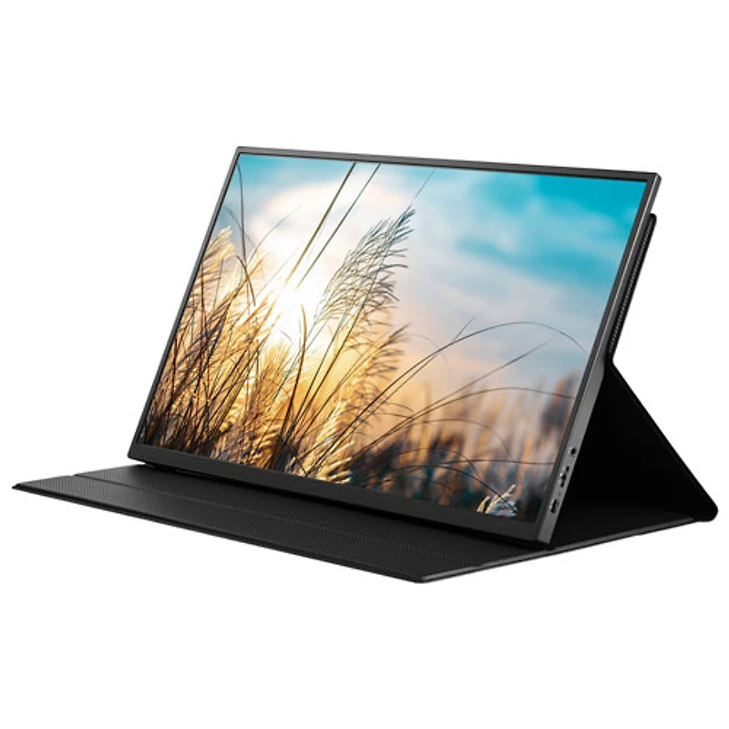 Insignia 15.6" 1080p HD IPS LED Portable Monitor (NS-156PM-C) - USB-C - Only at Best Buy