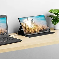 Insignia 15.6" 1080p HD IPS LED Portable Monitor (NS-156PM-C) - USB-C - Only at Best Buy