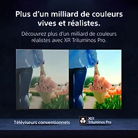 Téléviseur Google DEL HDR UHD 4K avec Dolby Vision, 120 Hz, IMAX Enhanced et Gemini de 43 po BRAVIA 3 II de Sony (K43XR30M2) - 2026 - Idéal pour la diffusion en continu et les jeux