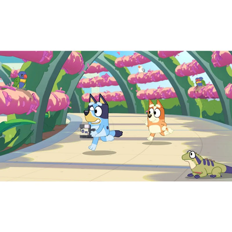 Bluey's Happy Snaps (Switch)