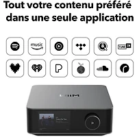 WiiM Amp Ultra Audio Streaming Amplifier