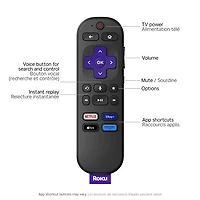 Téléviseur intelligent Roku DEL HDR UHD 4K de 43 po série R4 Select de Roku (43R4E5CA) - 2026