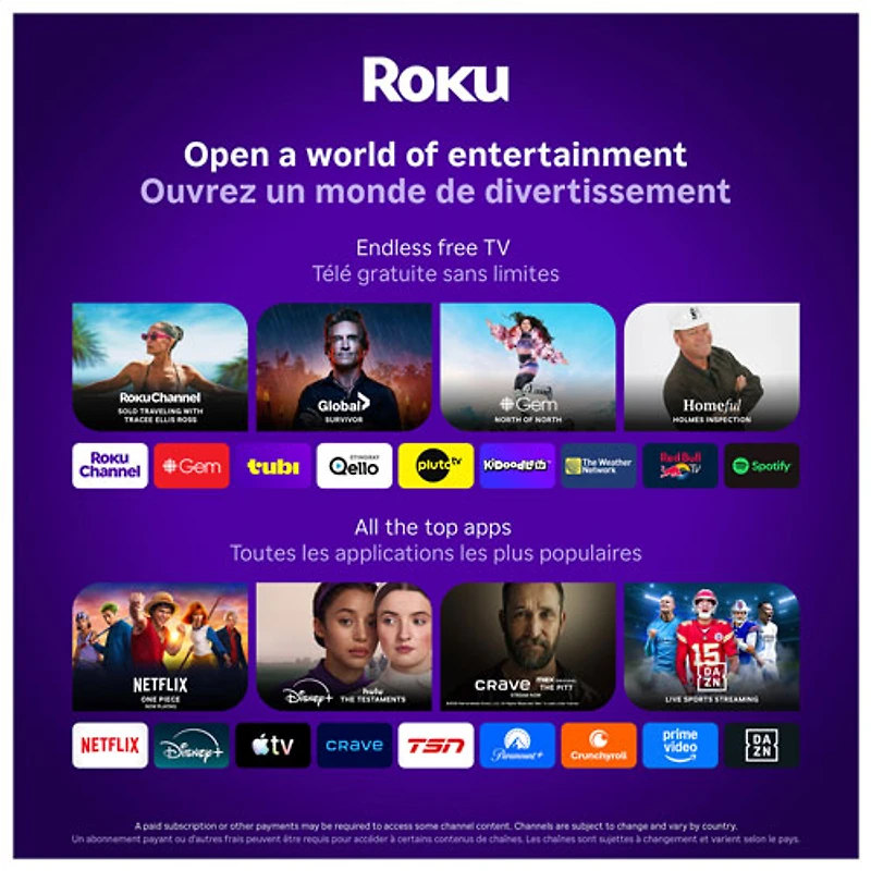 Téléviseur intelligent Roku DEL HDR UHD 4K de 43 po série R4 Select de Roku (43R4E5CA) - 2026