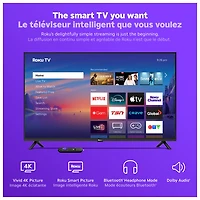 Téléviseur intelligent Roku DEL HDR UHD 4K de 43 po série R4 Select de Roku (43R4E5CA) - 2026