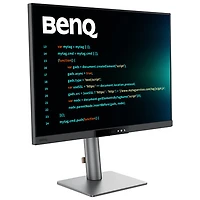 BenQ 28" 4K Ultra HD 120Hz 5ms GTG IPS LED Monitor (RD280UG) - Grey