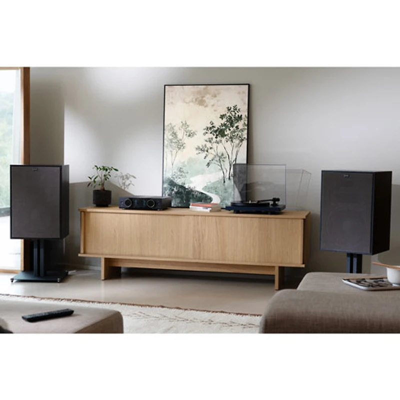 Onkyo Muse Y-40 2.0 Channel Network AV Amplifier - Only at Best Buy