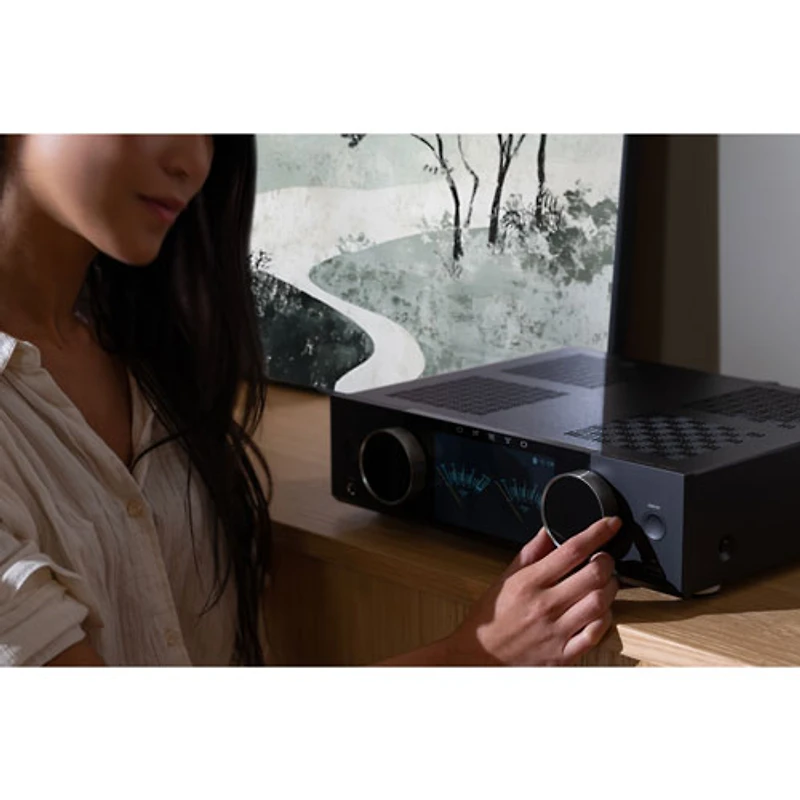 Onkyo Muse Y-40 2.0 Channel Network AV Amplifier - Only at Best Buy