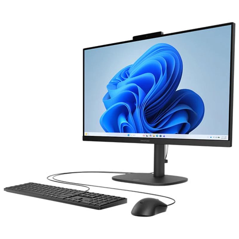 Ordinateur tout-en-un de 23,8 po OmniStudio de HP - Noir de jais (Athlon Gold 20 d'AMD/RAM 8 Go/SSD 256 Go/Windows 11 Famille)