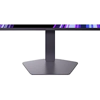 LG UltraGear 25" FHD 300Hz 1ms GTG IPS LED G-Sync FreeSync Gaming Monitor (25G550B) - Black