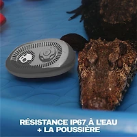 Skullcandy Session 540 Splashproof Bluetooth Wireless Speaker - Cement