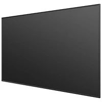 Hisense 120" ALR Fresnal Projection Screen (DLT120-C)