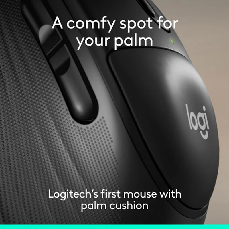 Souris optique Bluetooth Signature Comfort Plus M850 L de Logitech - Noir