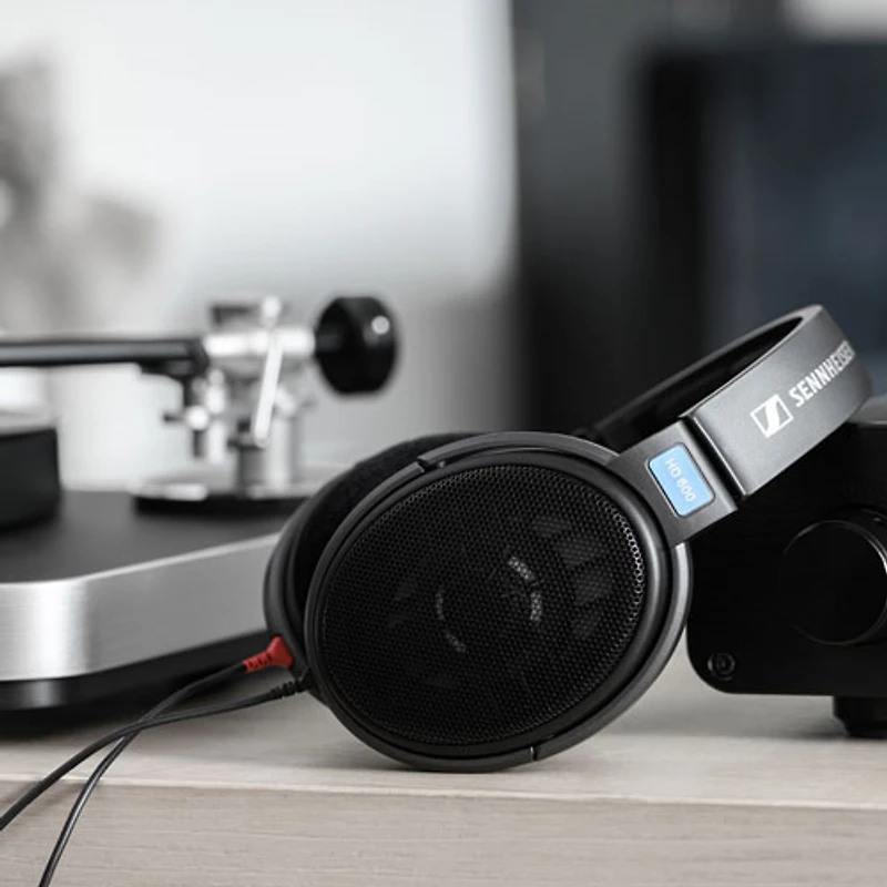 Casque d'écoute avec fil à dos ouvert HD 600 pour audiophile de Sennheiser - Noir