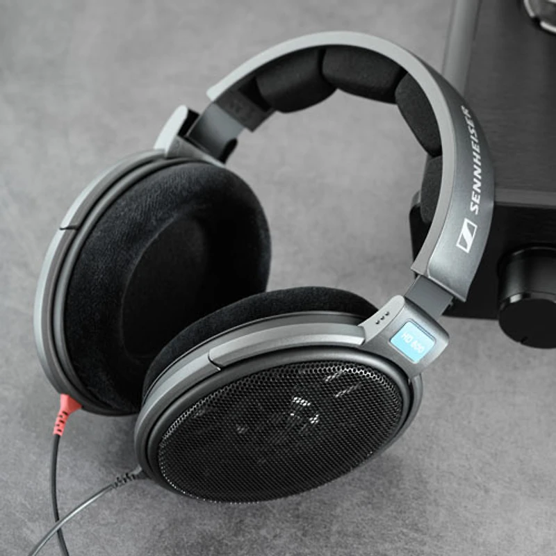 Casque d'écoute avec fil à dos ouvert HD 600 pour audiophile de Sennheiser - Noir