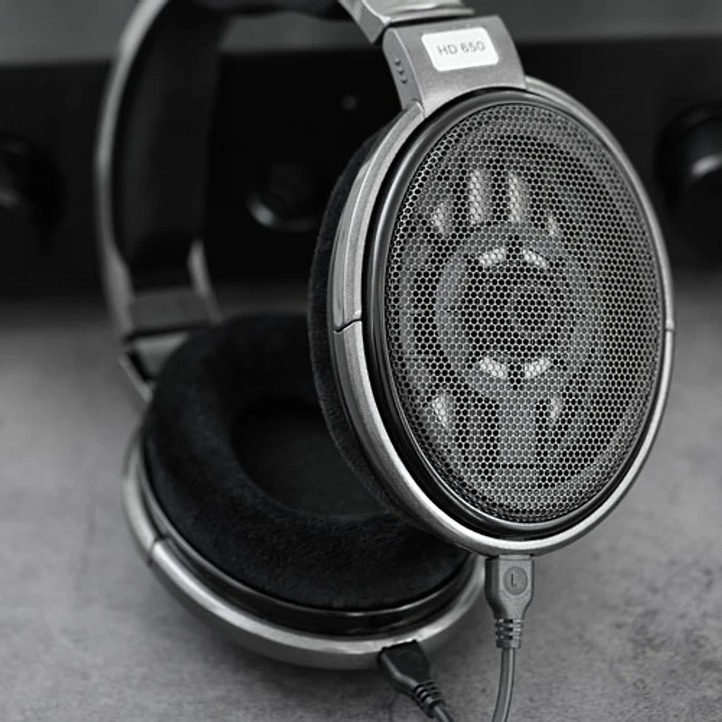 Sennheiser HD 650 Open-Back Circumaural Headphones - Black