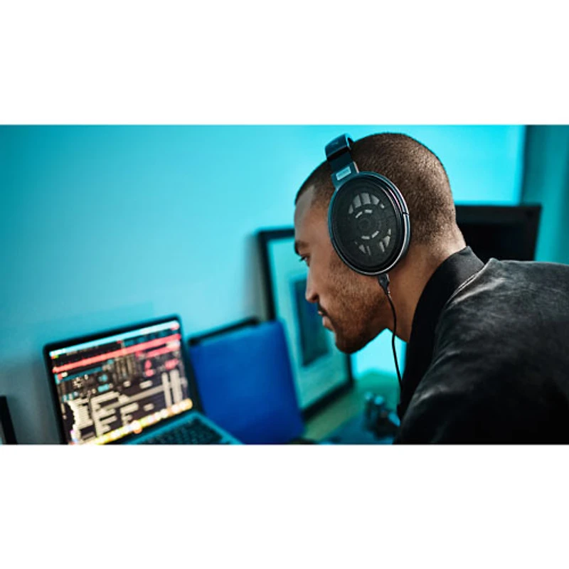 Sennheiser HD 650 Open-Back Circumaural Headphones - Black