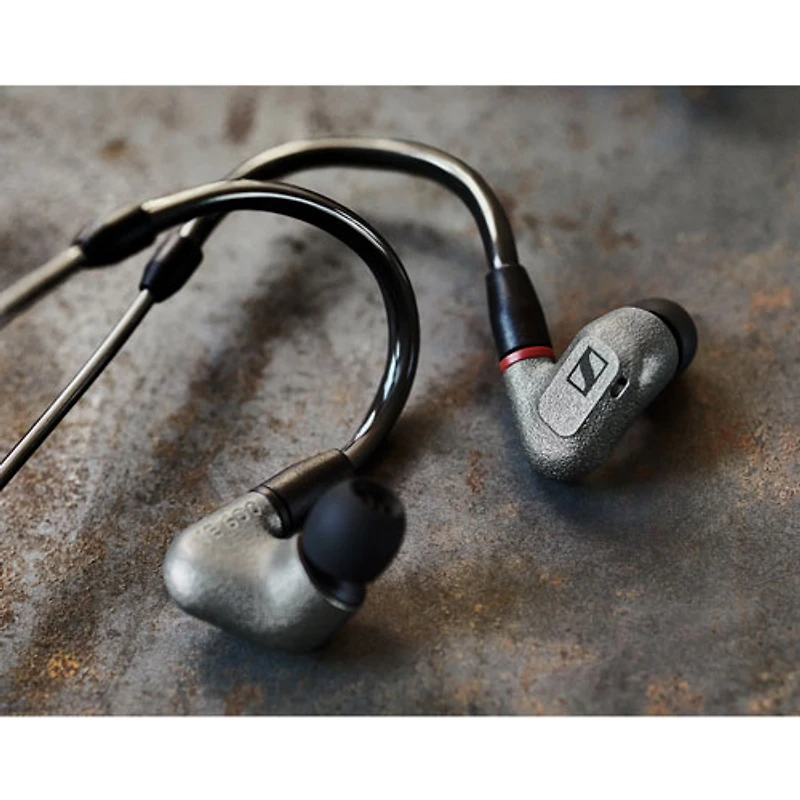 Sennheiser IE 600 Audiophile In-Ear Earbuds - Silver